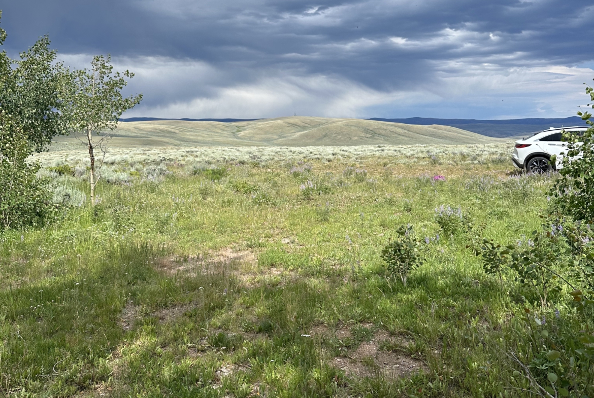 234 Skyline Road, Riverside, Wyoming → Platinum Real Estate Services